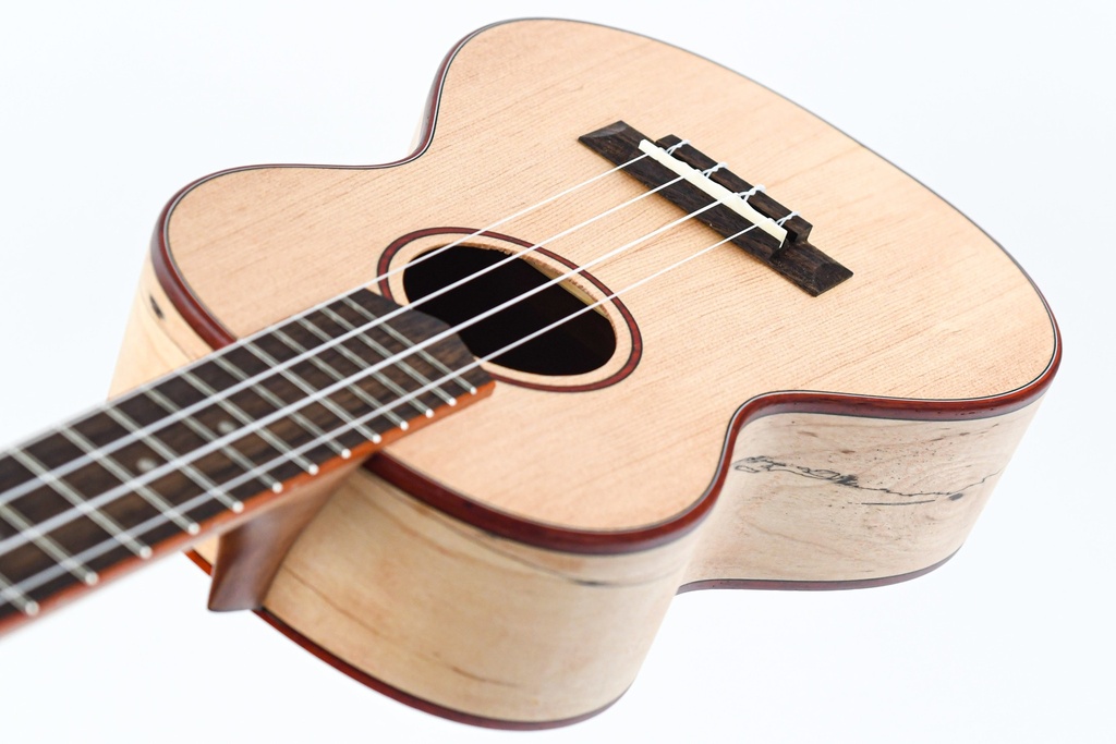 Cordoba 24T Tenor Spruce Ukuele | The Fellowship of Acoustics